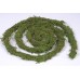 MOSS VINE PRESERVED 5'-6'-CLOSE OUT !!!!!!!